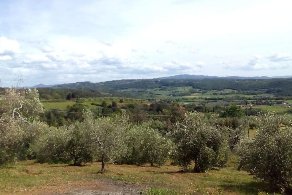 Casa Belvedere -Tranquillita Tra Bosco E Ulivi- Riparbella Exterior foto