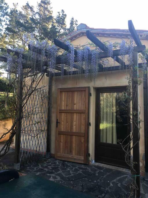 Casa Belvedere -Tranquillita Tra Bosco E Ulivi- Riparbella Exterior foto